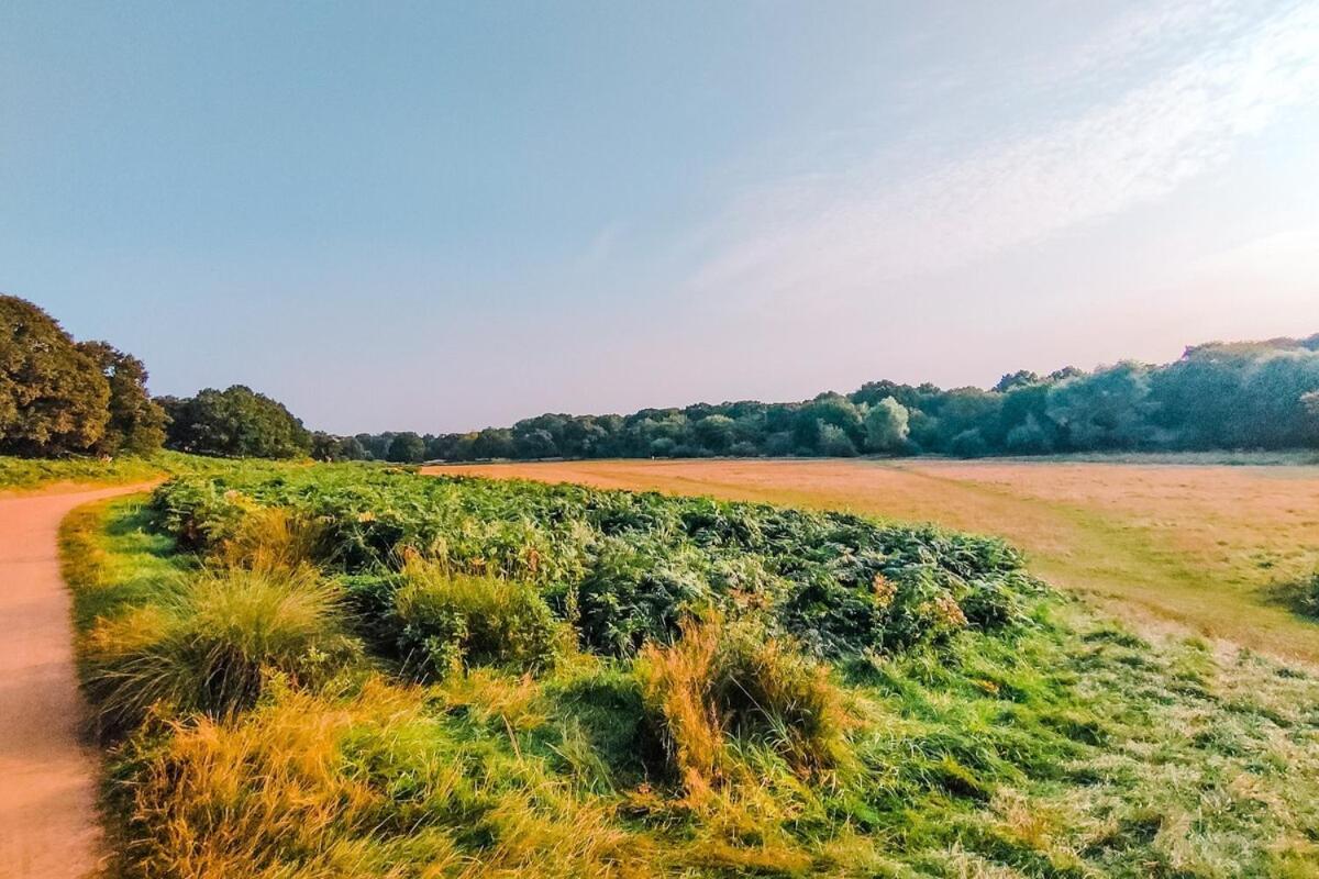 The Pembroke Studio By Richmond Park