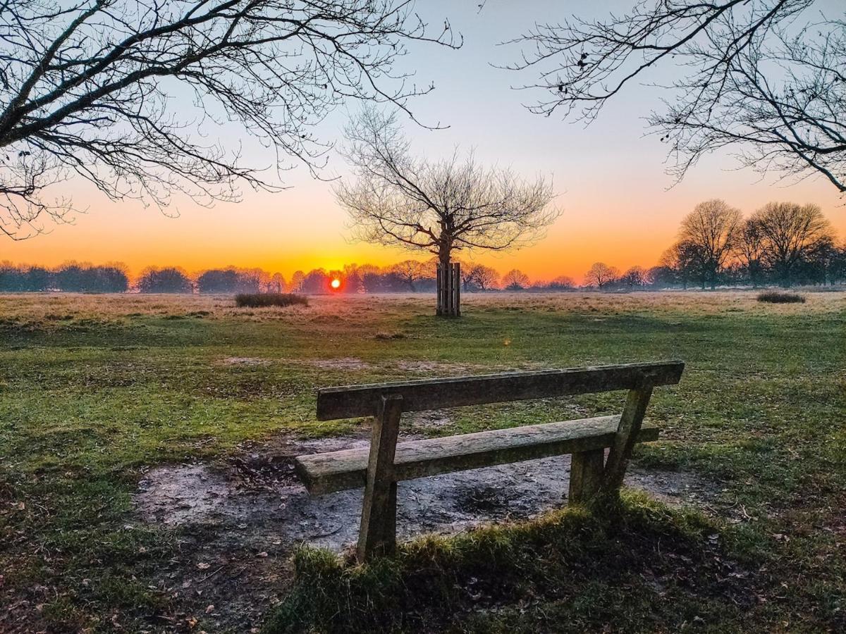 The Pembroke Studio By Richmond Park * Kingston upon Thames (Greater London)